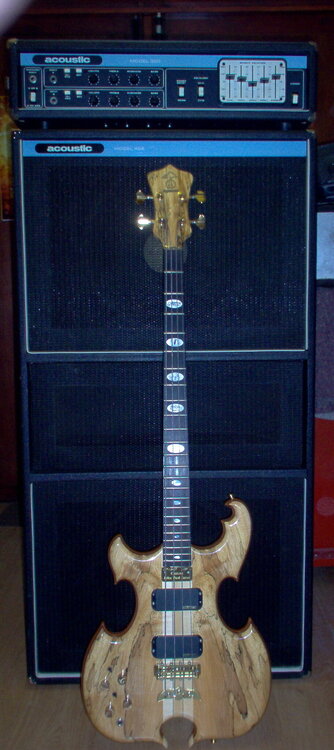 000_Acoustic+Alembic (2).jpg