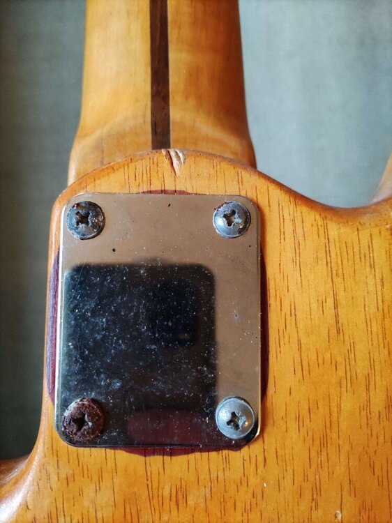 03_2007projecteww_neckplate.thumb.jpg.eddfa0b64deb55b4c24001369353b5d0.jpg