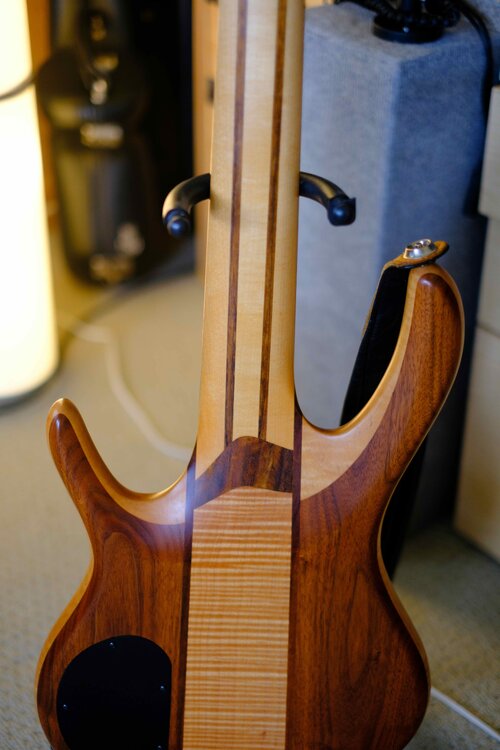 Bass No_-6.jpeg