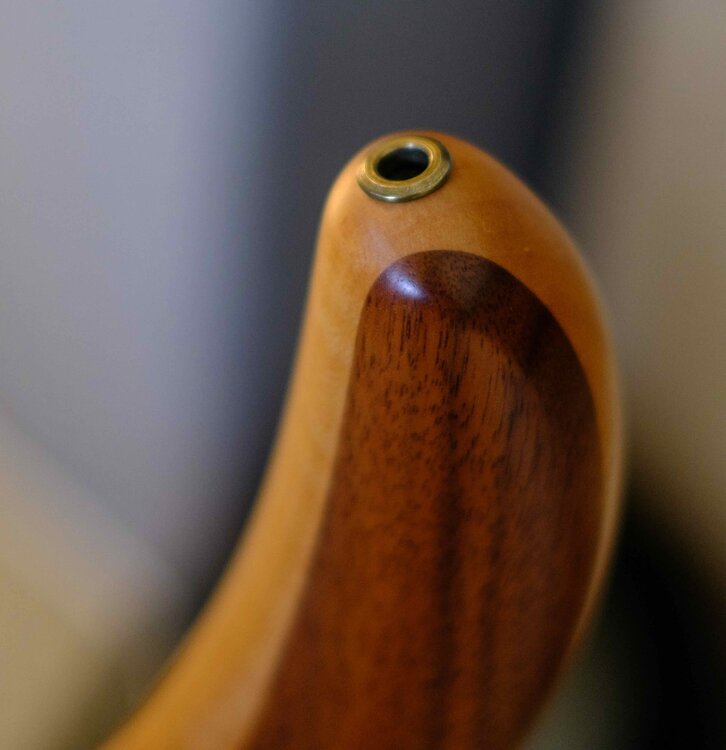 Bass No_-8.jpeg