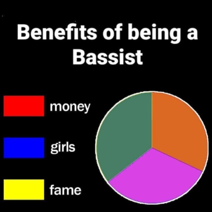 Benefitsofbeingabassplayer.jpeg.e88945ec9e2217d0093875aab1f66ac9.jpeg