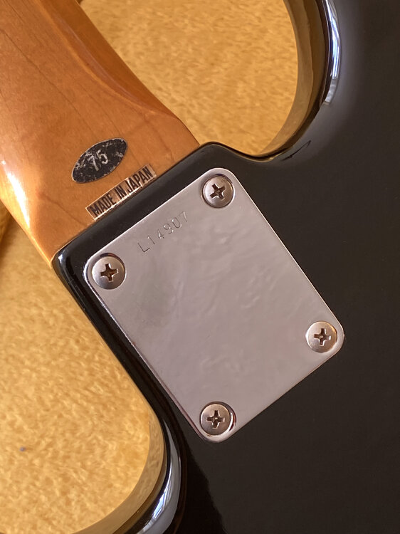 NeckPlate.jpg