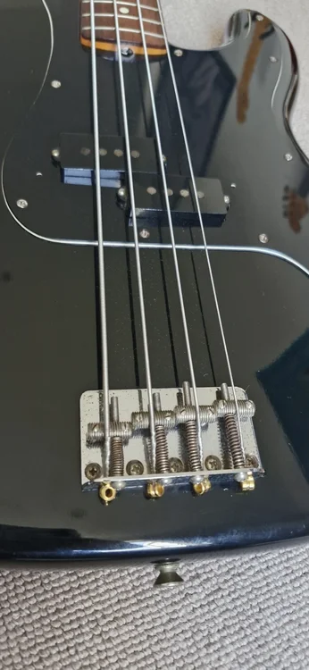 fernandes4.jpg