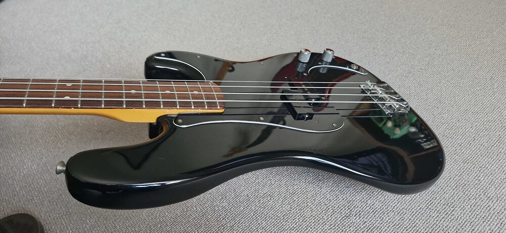 fernandes8.jpg