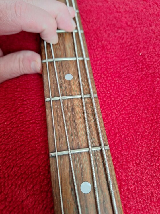 20250817_180129.thumb.jpg.c995a8a0f100e496fdf19b71a8597b7f.jpg