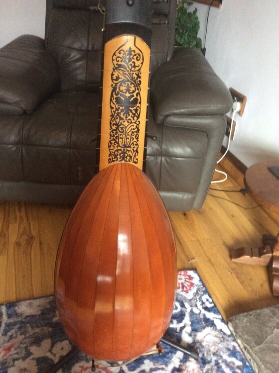 3 archlute rear.jpeg