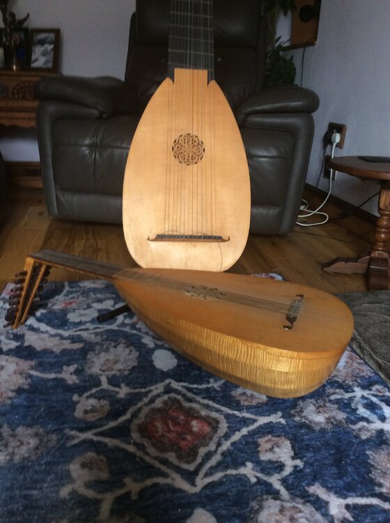 4 archlute & tenor lute a.jpeg