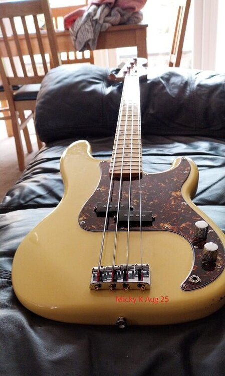 Cropped Fender 4.jpg