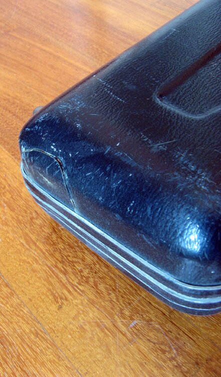 Fender_BassVI_Vendita_20.thumb.jpg.4508b7d7bd2f7e2e11c9f8e5d8681fd6.jpg