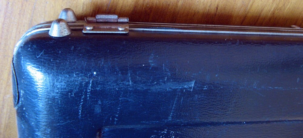 Fender_BassVI_Vendita_21.thumb.jpg.839a023c0feae586b36d7df6a17f9c1e.jpg