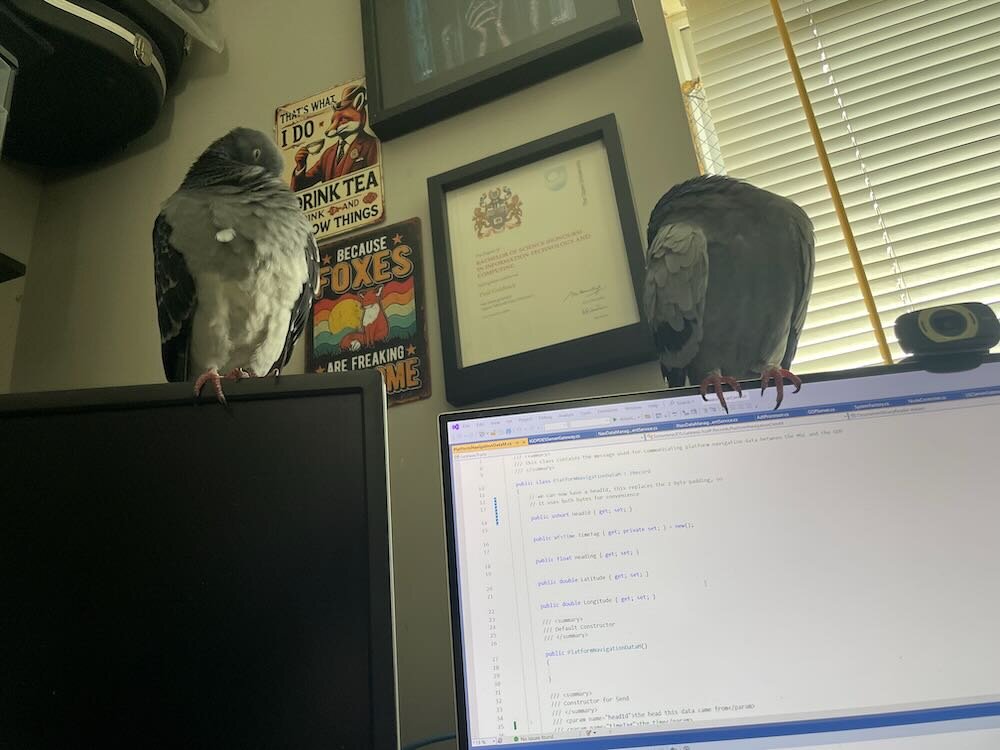 IMG_9683.jpeg