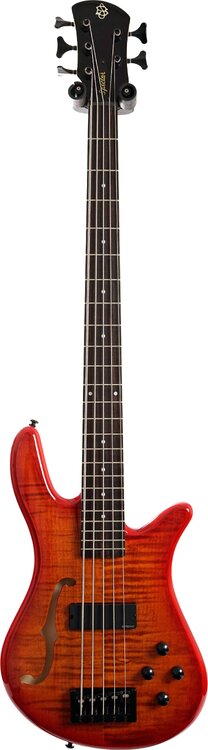 Spector1.thumb.jpg.0adb6317fd11f7d46f558932d54f23a2.jpg