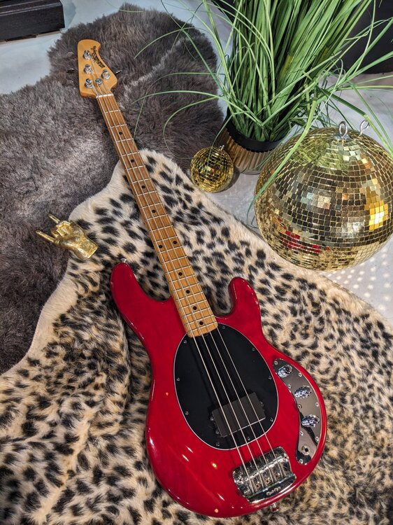 Stingray 2.jpg