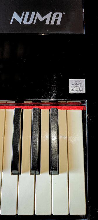 StudiologicNumaNero(1).thumb.jpg.c17ce979bb278dfb3501e4a7d42f49a9.jpg