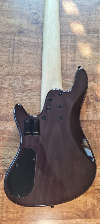 back body.jpg