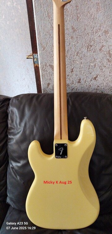 cropped Fender 6.jpg