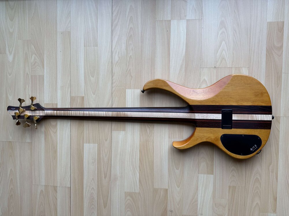 ibanez-btb-1605-5116222@2x.jpg