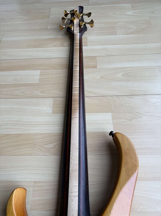 ibanez-btb-1605-5116224@2x.jpg