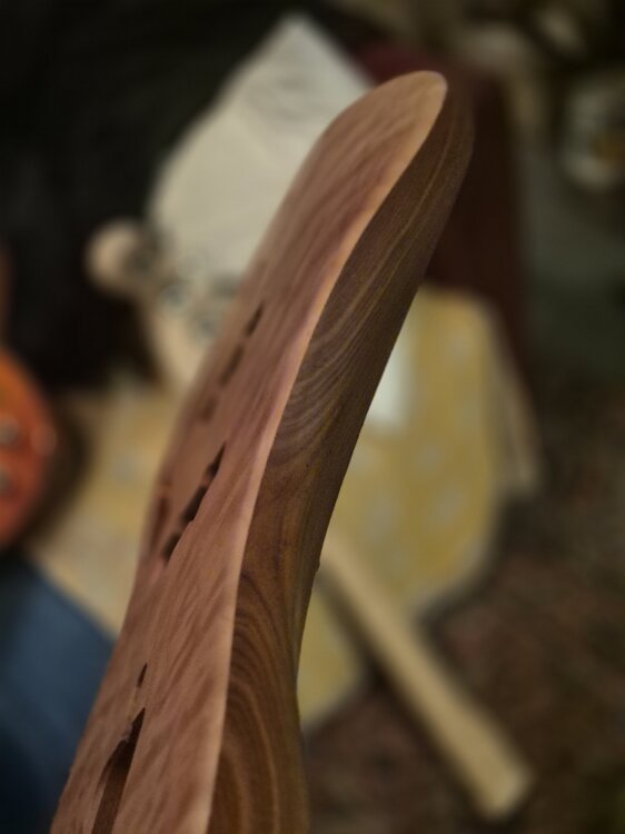 20250929_191718.jpg