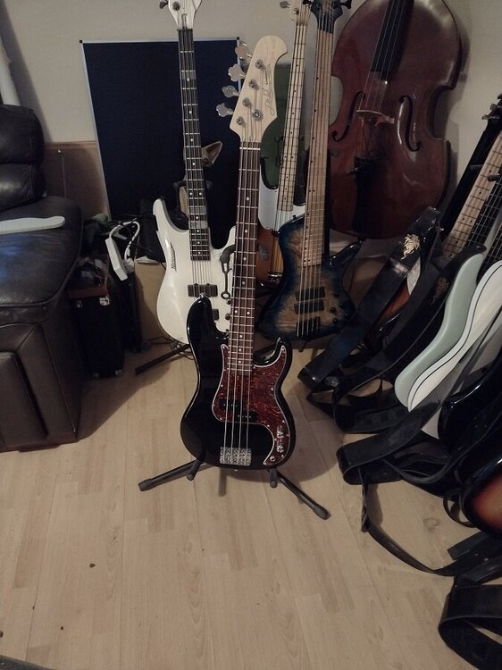 BabyBass.thumb.jpg.405b8d8d87486493295d349d05ab701d.jpg