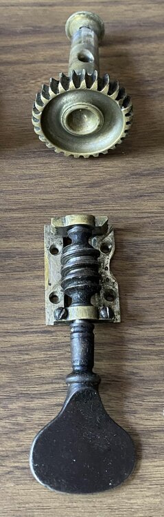 IMG_1384.jpeg