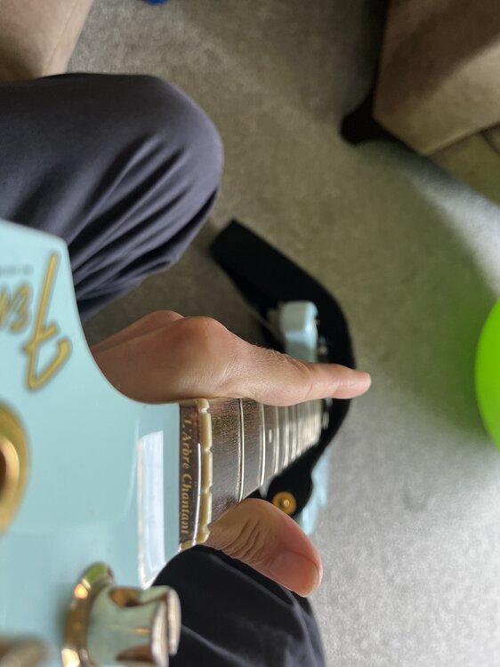 IMG_3419.jpeg