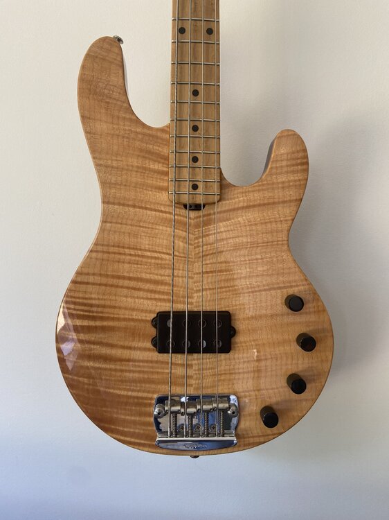Stingray1.jpeg