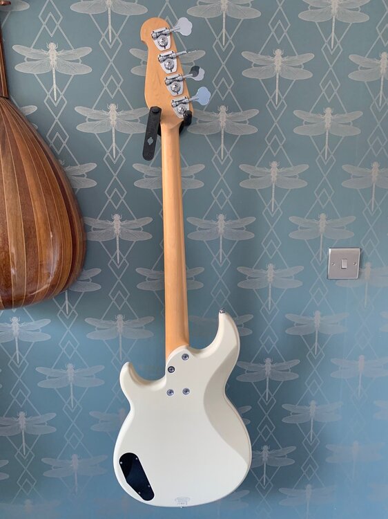 bass2.jpg