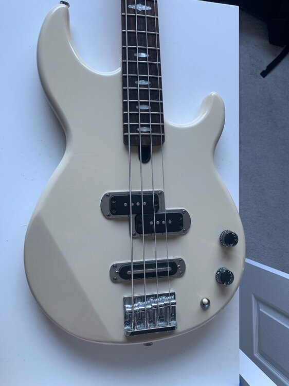 bass3.jpg