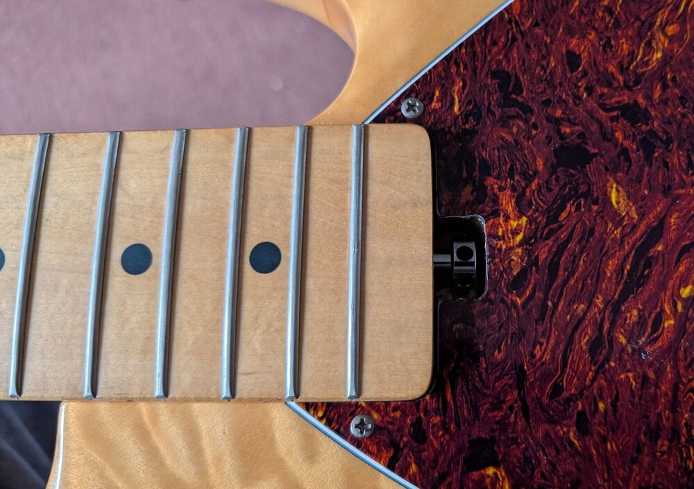 neck_installed.thumb.jpg.bc7f2c5557cb520f0932e4587b110d21.jpg