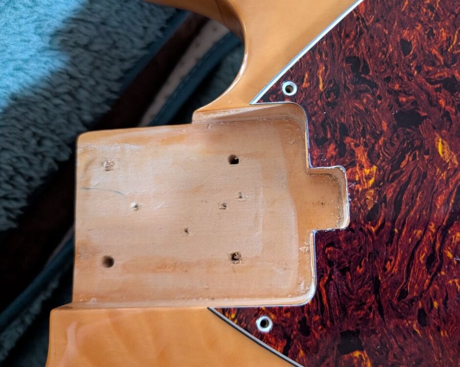 scratchplate_trimmed.thumb.jpg.224808ff66c005add3eb6a700fa05618.jpg