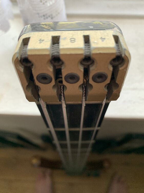 status-headstock-200327.thumb.jpg.eefa9ed0277d0cff3629b8ebfa0abe1b.jpg
