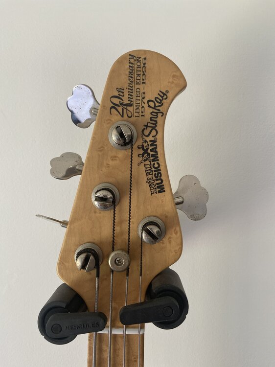 stingray3.jpeg