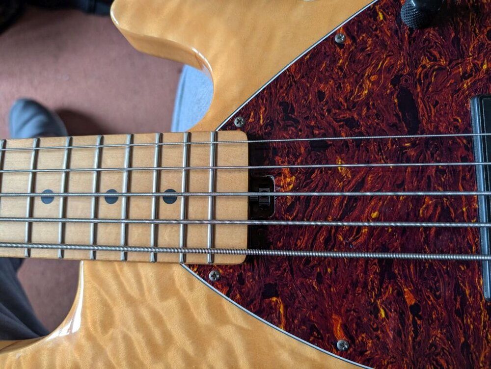strung_up.thumb.jpg.419a76d37c2dd9ec4a7f4cdebac55f57.jpg