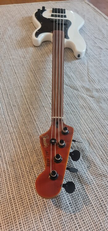 20251014_110454.jpg