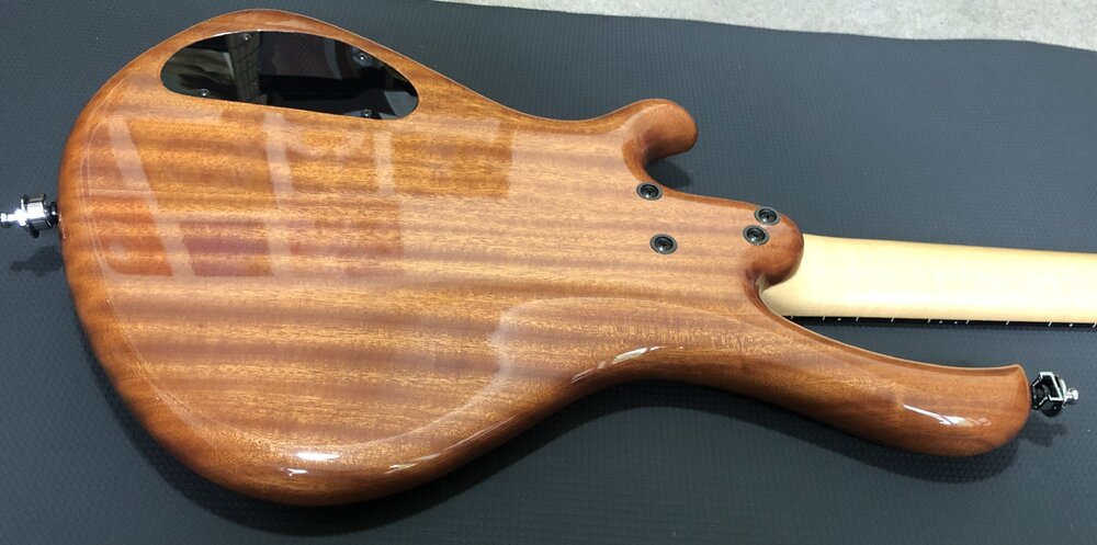 Body back Down angle 01.jpg