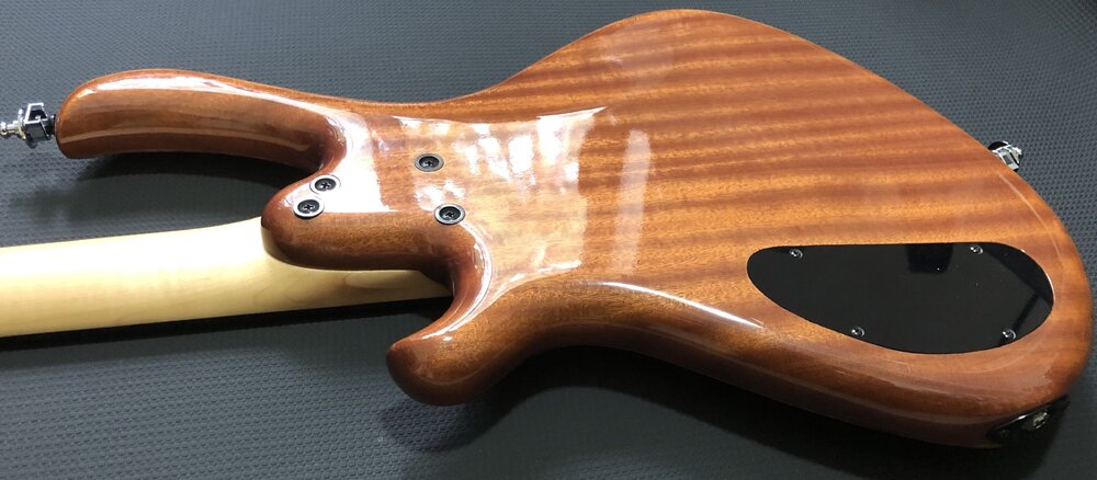 Body back Down angle 02.jpg