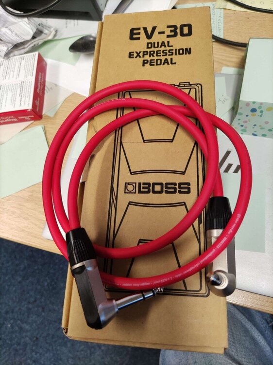 BossEV-30expressionpedal.thumb.jpg.f02f63b5fde195ced64e621908cc5498.jpg