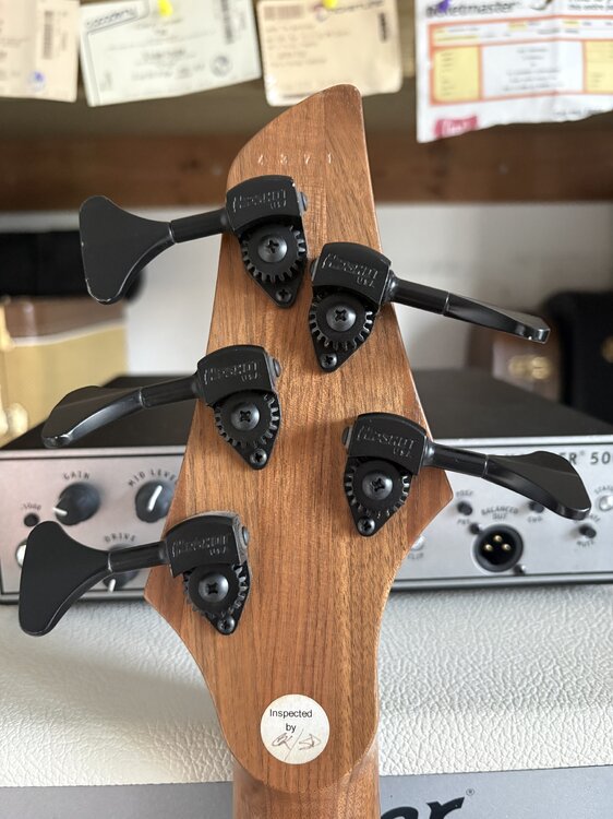 Dingwall Headstock back.jpg