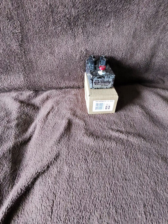 Flattley bass nirvana 2.jpg