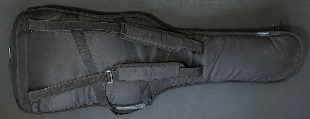 Gig Bag back.jpg