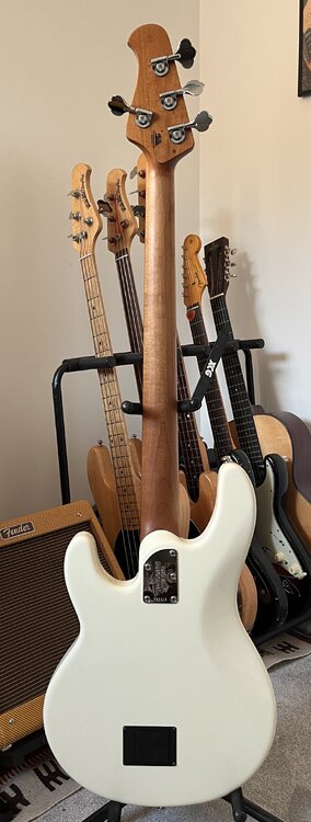 IMG_7375.jpeg