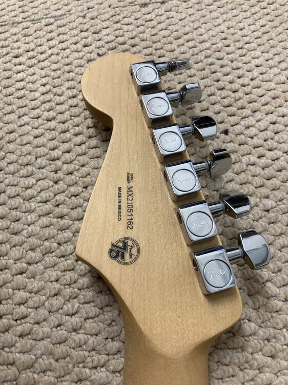 Player neck 3.jpg