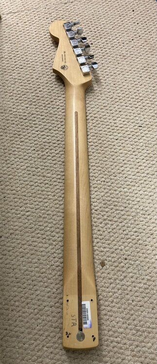 Player neck 4.jpg