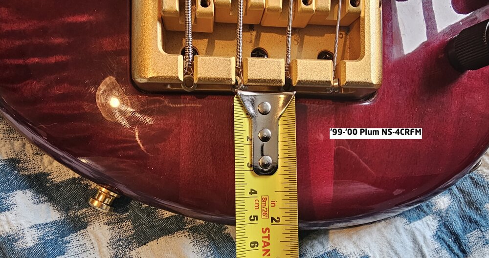 PlumNS-4CRFM.thumb.jpg.49004fad515cf057264e228d689eb18d.jpg