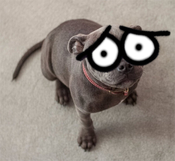 TeebsEyedPuppy.jpg.d8210a59b56cebcc93dc409f9978f0b1.jpg
