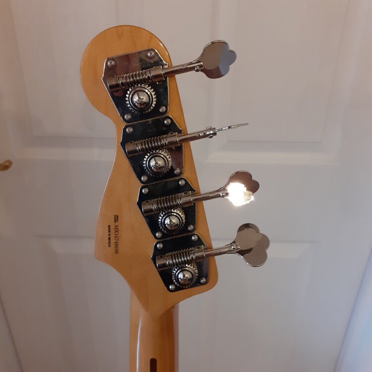bass 3.jpg