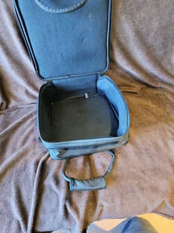 Gator 12 x 12 2.jpeg