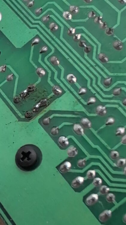 WhatsApp Image 2025-11-16 at 12.15.45.jpeg