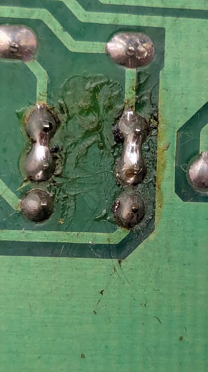 WhatsApp Image 2025-11-16 at 12.15.50.jpeg